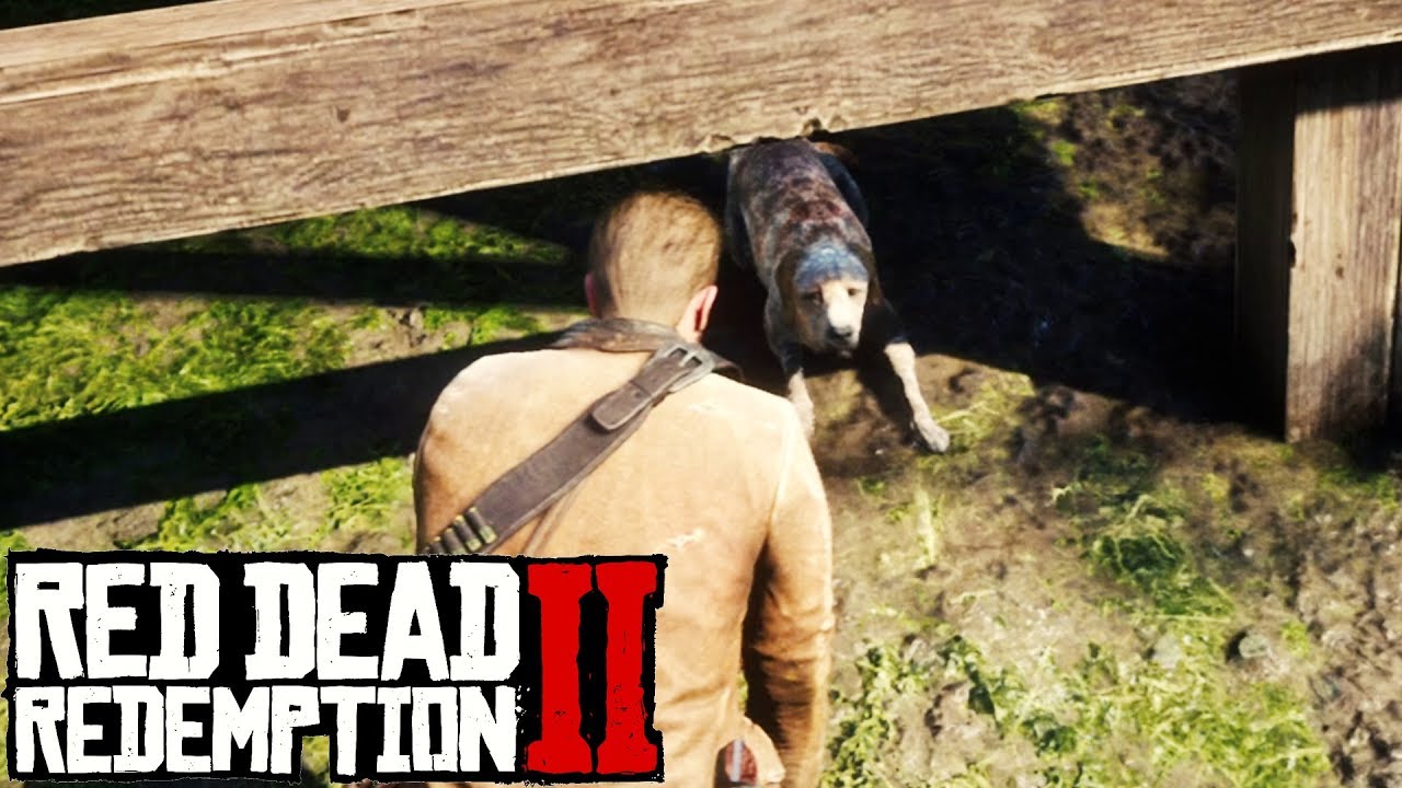 Red Dead Redemption 2 Finding the Missing Dog YouTube