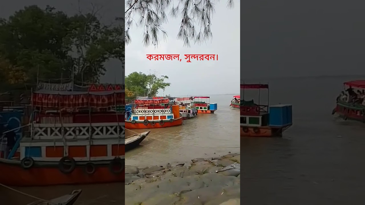 পশুর নদীর তীরে সুন্দরবনের করমজল এলাকা।। Karamjal, Sundarban #Shorts