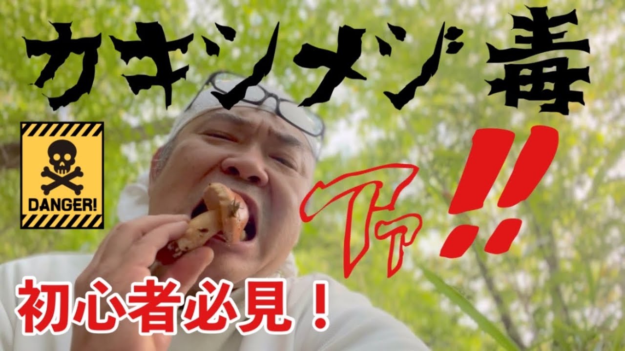 真似厳禁】編集してたらカキシメジ特集になっちった！