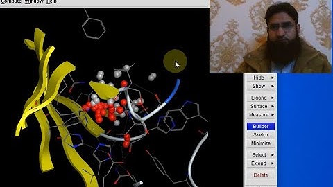 Molecular Docking through MOE (Molecular Operating Environment)