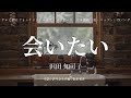 【カラオケ】 会いたい/沢田 知可子【オフボーカル メロディ有り karaoke】