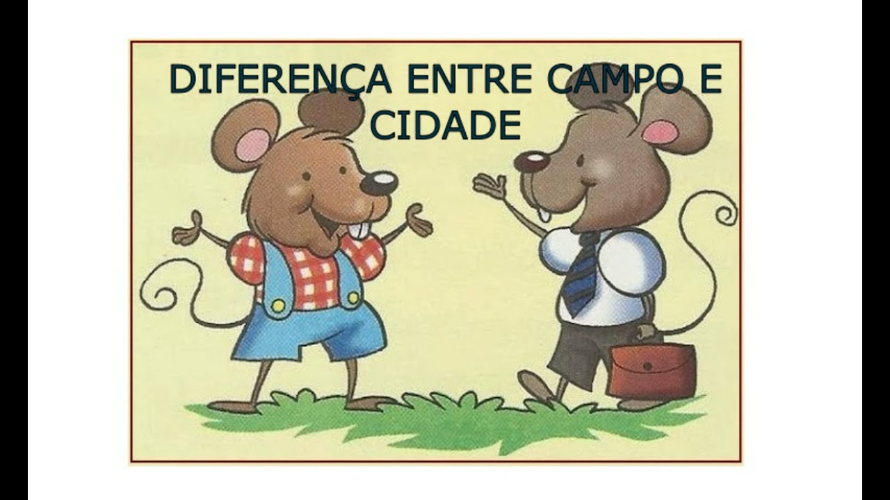 DIFERENÇA ENTRE CAMPO E CIDADE - YouTube