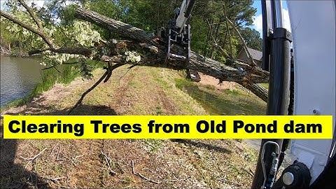 Bobcat e42 r series mini excavator clearing trees from old pond dam