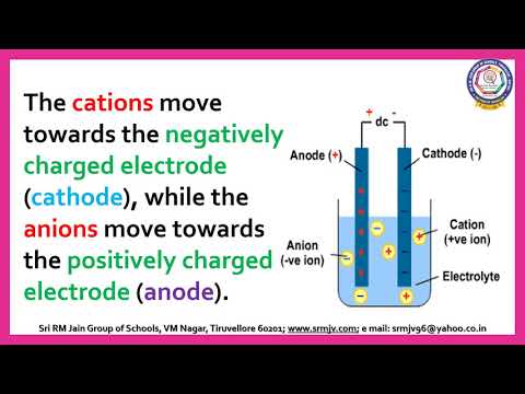 CBSE - Class
