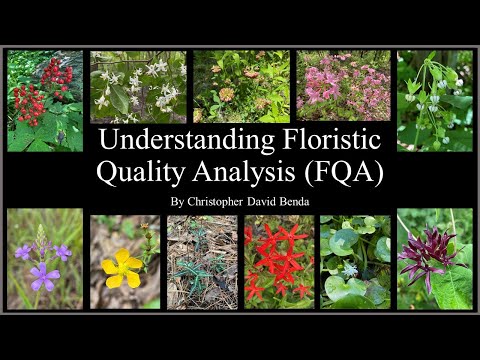 Understanding FQA