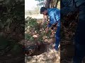 How to take water from well without electricity  old memories shorts ytshort 123go