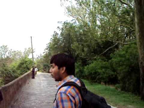 friends doing bakchodi at nandi hills(bangalore)