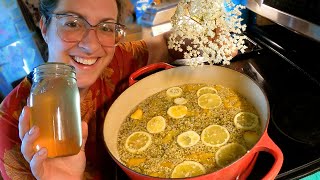 Let's Make Elderflower Cordial! (Simple Syrup) | Preserving The Harvest