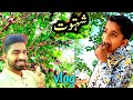 Shahtoot ka mausam  mubeen arshad vlog