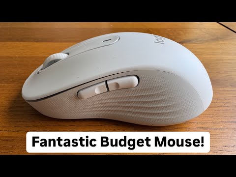 Logitech Signature M650 L Mouse review. Great Budget Mouse