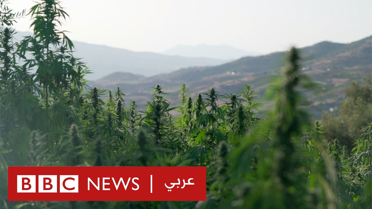 شمال المغرب: 