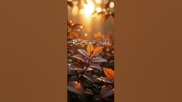 قران كريم اسمع ياخي ماهر المعيقلي صوت جميل #قران #ماهر_المعيقلي