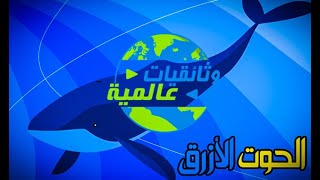 الحوت الأزرق الكبير | أسماك وكائنات بحرية | أعماق البحر | وثائقيات عالمية