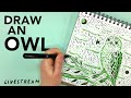 Draw a Green Owl with Pastel Highlighter and Pentel Brush Pen  - Art Livestream - Kathy Weller Art