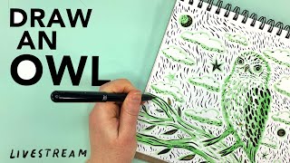 Draw a Green Owl with Pastel Highlighter and Pentel Brush Pen  - Art Livestream - Kathy Weller Art