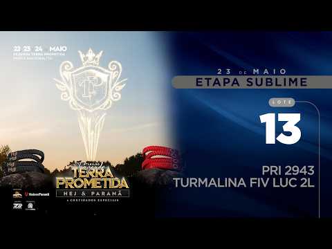 LOTE 13   PRI 2943 COM FILHA E PROGËNIE