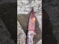Skull edc knife #blade #edc