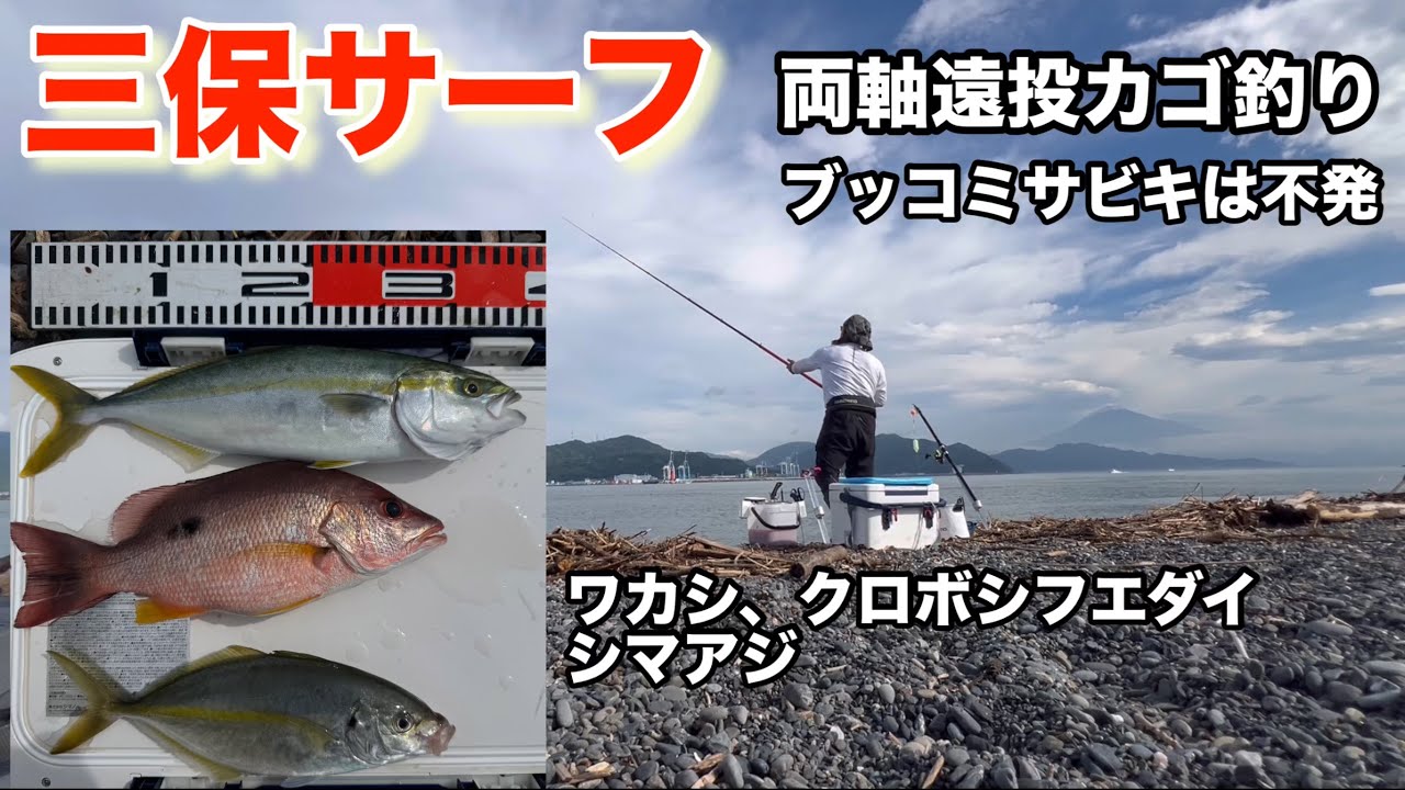 【三保サーフ】ワカシ、クロホシフエダイ、シマアジ、両軸遠投カゴ釣り、ブッコミサビキは不発！
