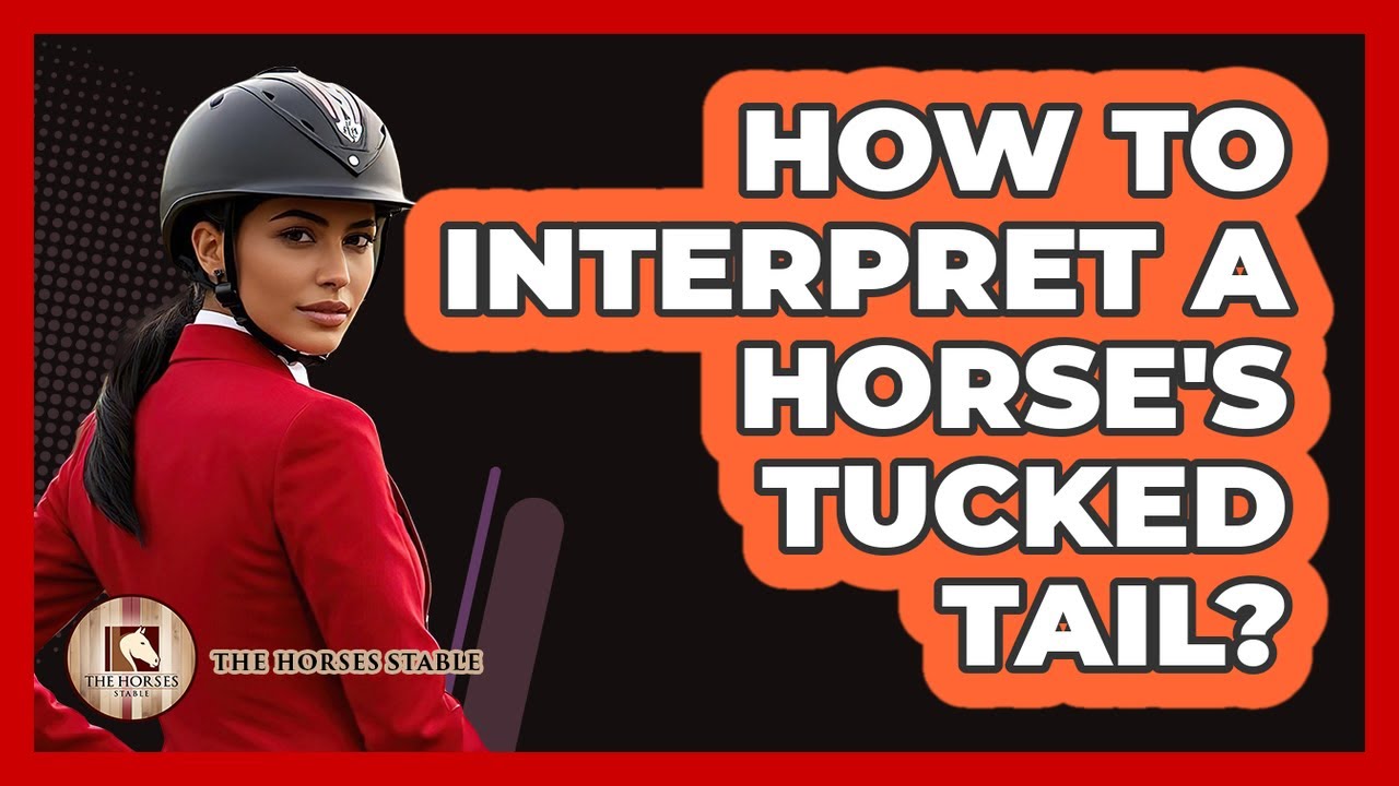 How To Interpret A Horse's Tucked Tail?