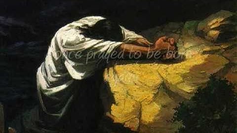 The Rose, The Stream, And The Stone - Greg Shields