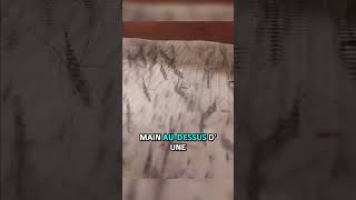Cet homme se venge enfin des moustiques !