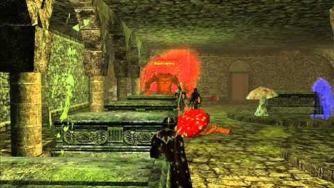 Cormanthor NWN1 PW - Player made video part #2 (unofficial)