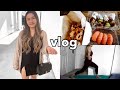 Weekly Vlog: at home workouts, and getting sushi