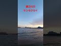 キンモクセイ 僕の行方 #shorts