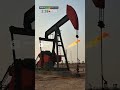Nukes in the Middle East?
