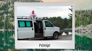 PONGO | Bande-annonce