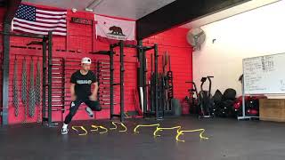 Multi-Directional Hurdle Bound Drill