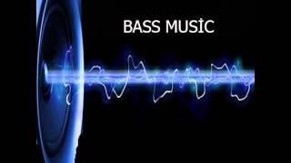 2013 Bass 