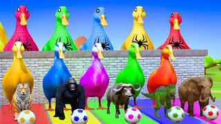 Long Slide Game with Colourful Duck Cow Tiger Gorilla Dog Elephant 3d Animal Game Funny 3d Animals screenshot 2