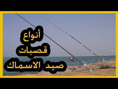 فيديو: ما هي أنواع صنارة الصيد