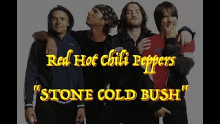 Red Hot Chili Peppers - “Stone Cold Bush” - Guitar Tab 