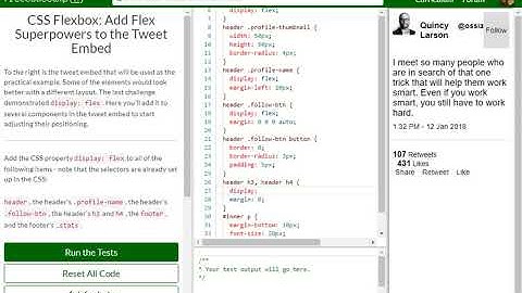 CSS Flexbox Add Flex Superpowers to the Tweet Embed free code camp   Dani