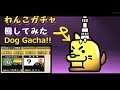 わんこガチャ回してみた、的な映像 みんなでにゃんこ大戦争 The battle dogs(cats) - rare tickets Dog Gacha!!【멍뭉이대전쟁】레어 뽑기!!