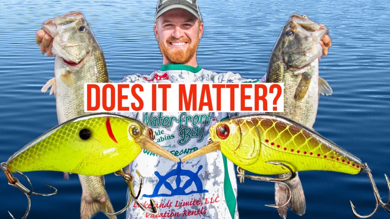 Don’t Buy This Bass Fishing Trick