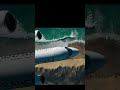 #aviation #viral #planeedit #edit #airplane #a220 #airbus @airbus @FlySWISS @airfrancefr #fyp