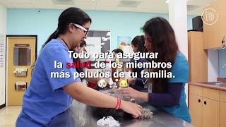 Banfield Pet Hospital (UNAM)