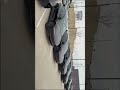 BYD Beating Tesla in Producing Models  #evtechnology #cartok