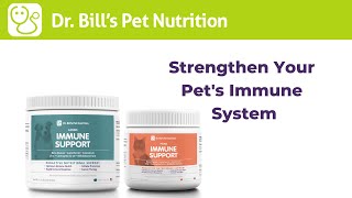Immune Support | Strengthen Your Pet's Immune System | Dr. Bill's Pet Nutrition