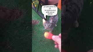 Abone Olursanız Seviniriz I