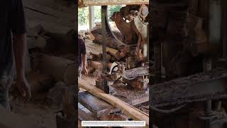 Wood Sawing: How Vertical Sawmill Transforms Raw Log Into Precision Boards 