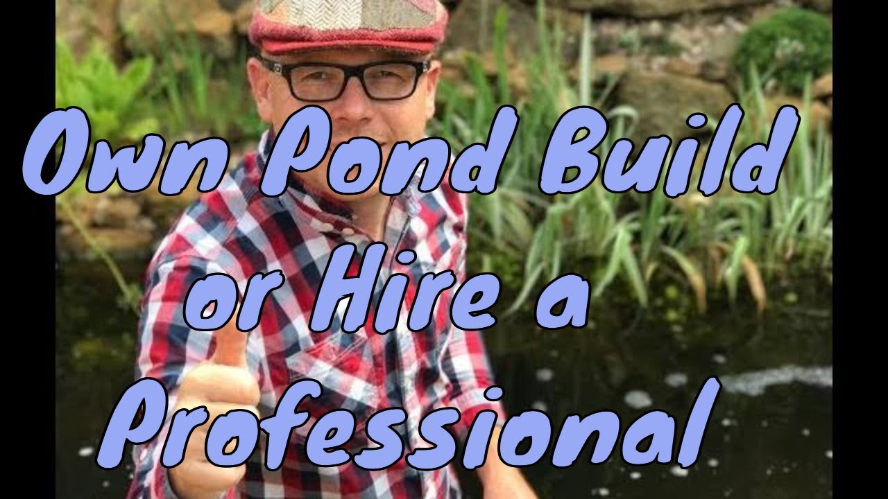 building game Should I build my own pond or hire a professional