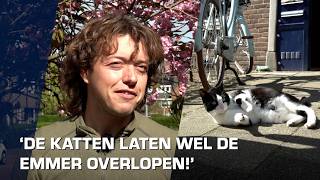 De kat binnen tijdens het broedseizoen? “Een lastig dilemma tussen liefde voor huisdier en natuur”