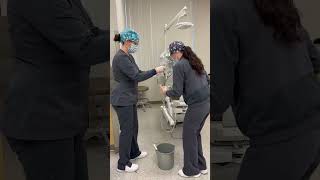 IMG 1217