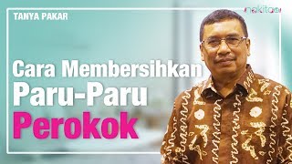 Download lagu Cara Membersihkan Paru Paru Perokok Cara Membersihkan Paru Paru Perokok