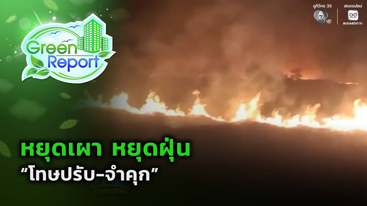 หยุดเผา หยุดฝุ่น “โทษปรับ-จำคุก” | Green Report