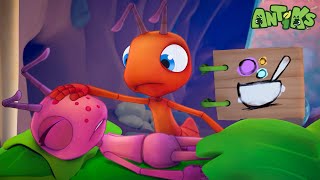 joey goes daring adventure through vines venus flytraps